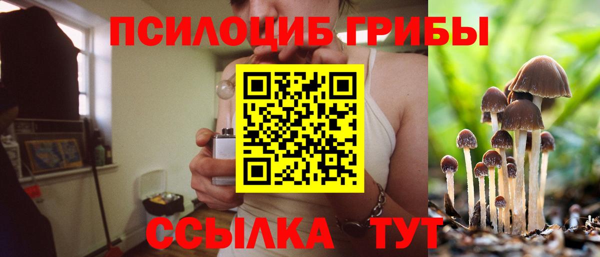 Галлюциногенные грибы Magic Shrooms  Вход с VPN  где найти   Псилоцибиновые грибы Cubensis  Озёрск 