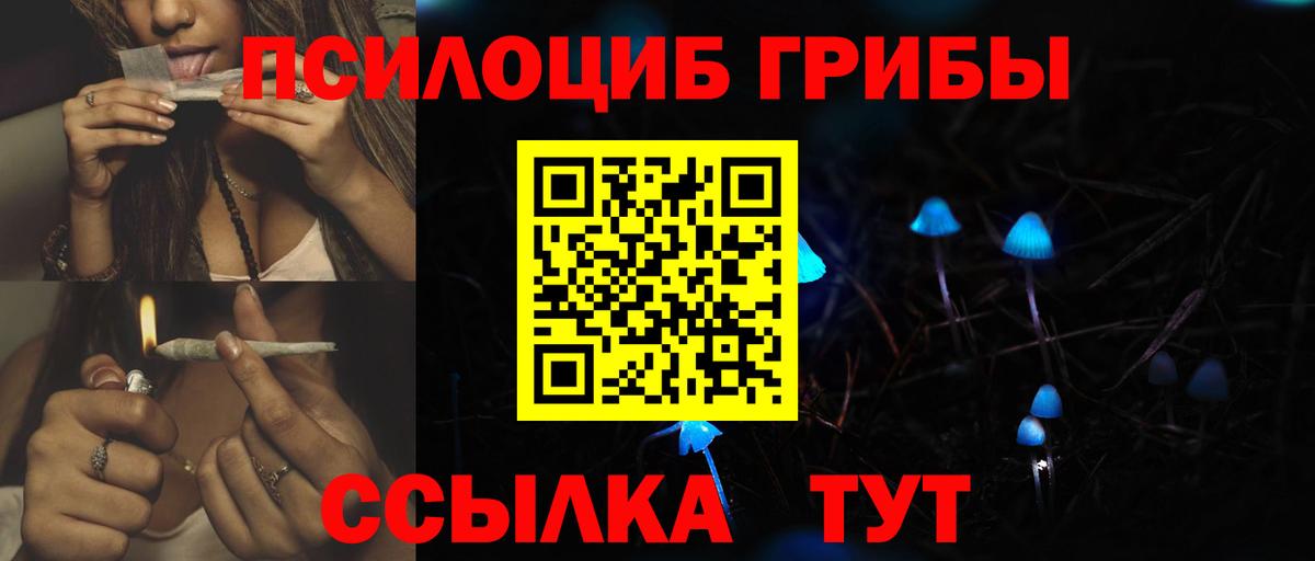 Псилоцибиновые грибы Psilocybine cubensis Озёрск